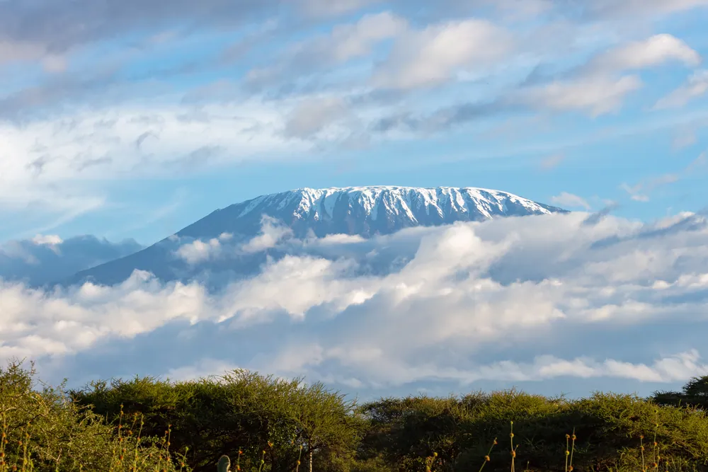 The snow-capped summit of Kilimanjaro rising above a bank of cloud at first light